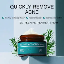 Beauty Cosmetics Face Beauty Cream for Scars Removal Skin Care