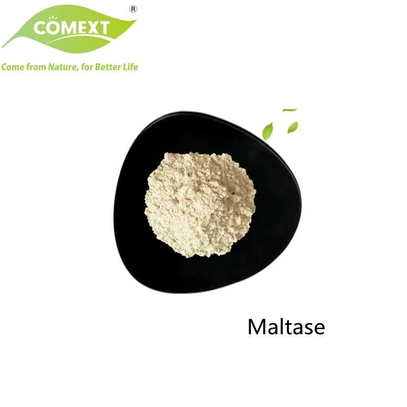 Comext Factory Food Grade Melhore a digestão Aspergillus oryzae 9, enzima 000 U/G Maltase