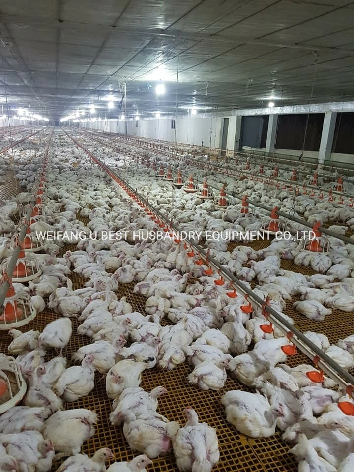 New Design Automatic Plastic Chicken Feeder Feeding System Poultry Feed Production Line for Broiler House