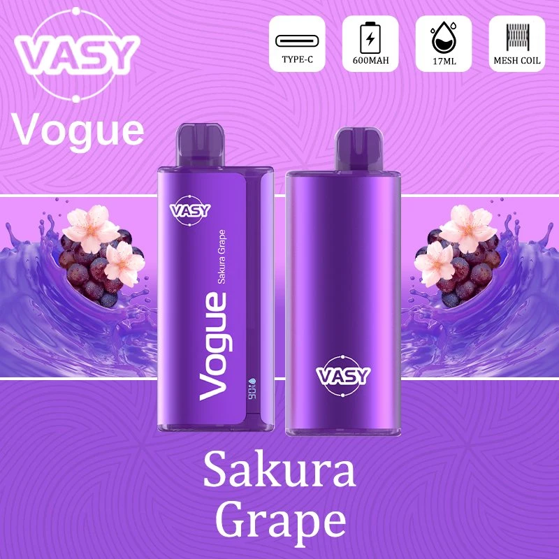 2023 Newest and Smart Disposable Pod Vape Vasy Vogue 7000 Puffs