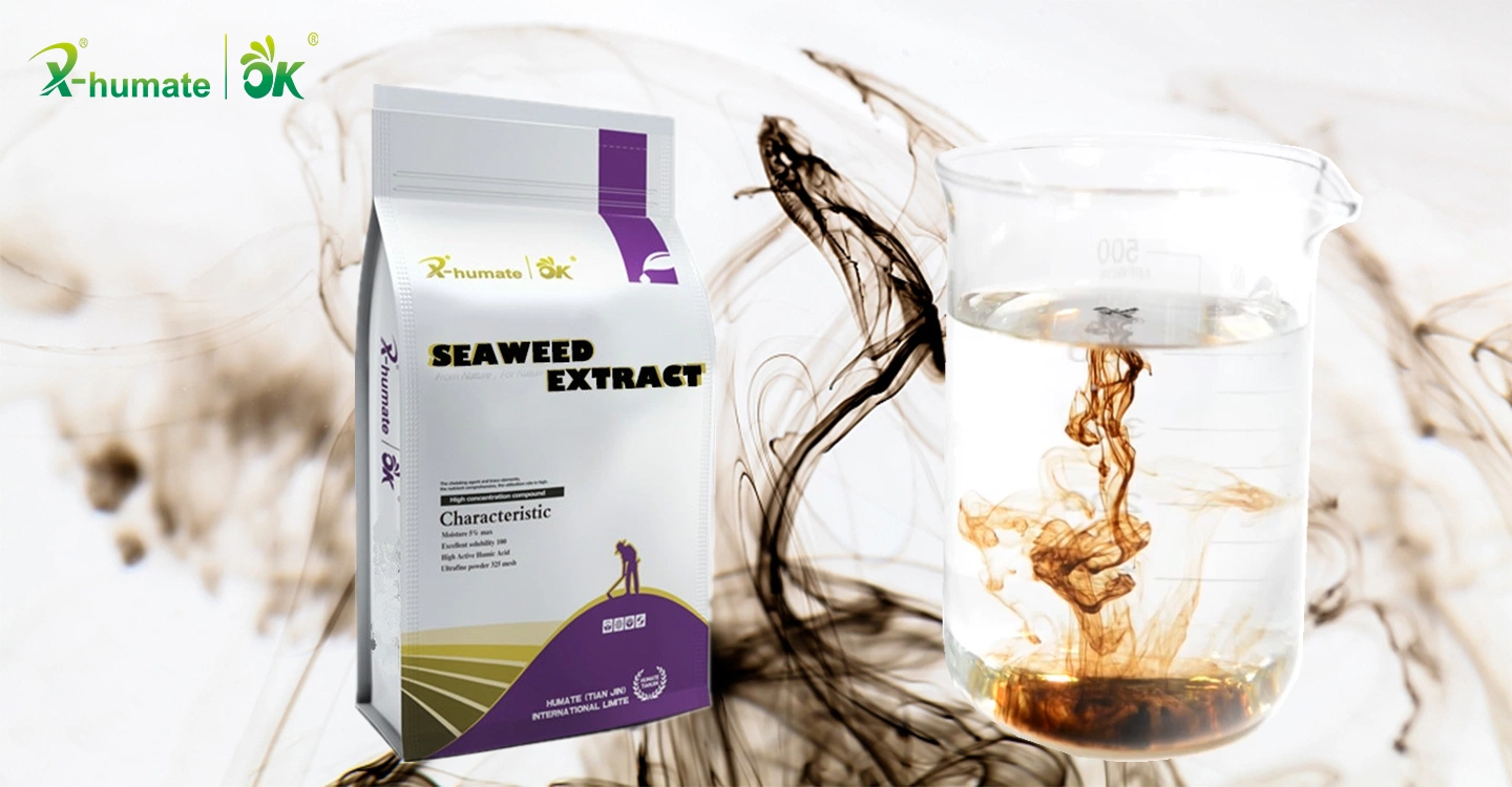 Agriculture Organic Fertilizer 100% Soluble in Water Powder Seaweed Extract