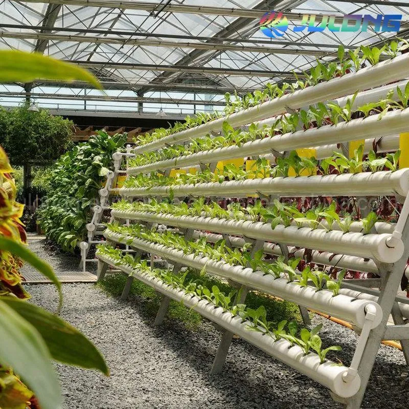 2020 Système de culture HYDROPONIQUE NFT Technique du film d'éléments nutritifs pour les légumes de serre de plus en plus de laitue la plantation de feuillus