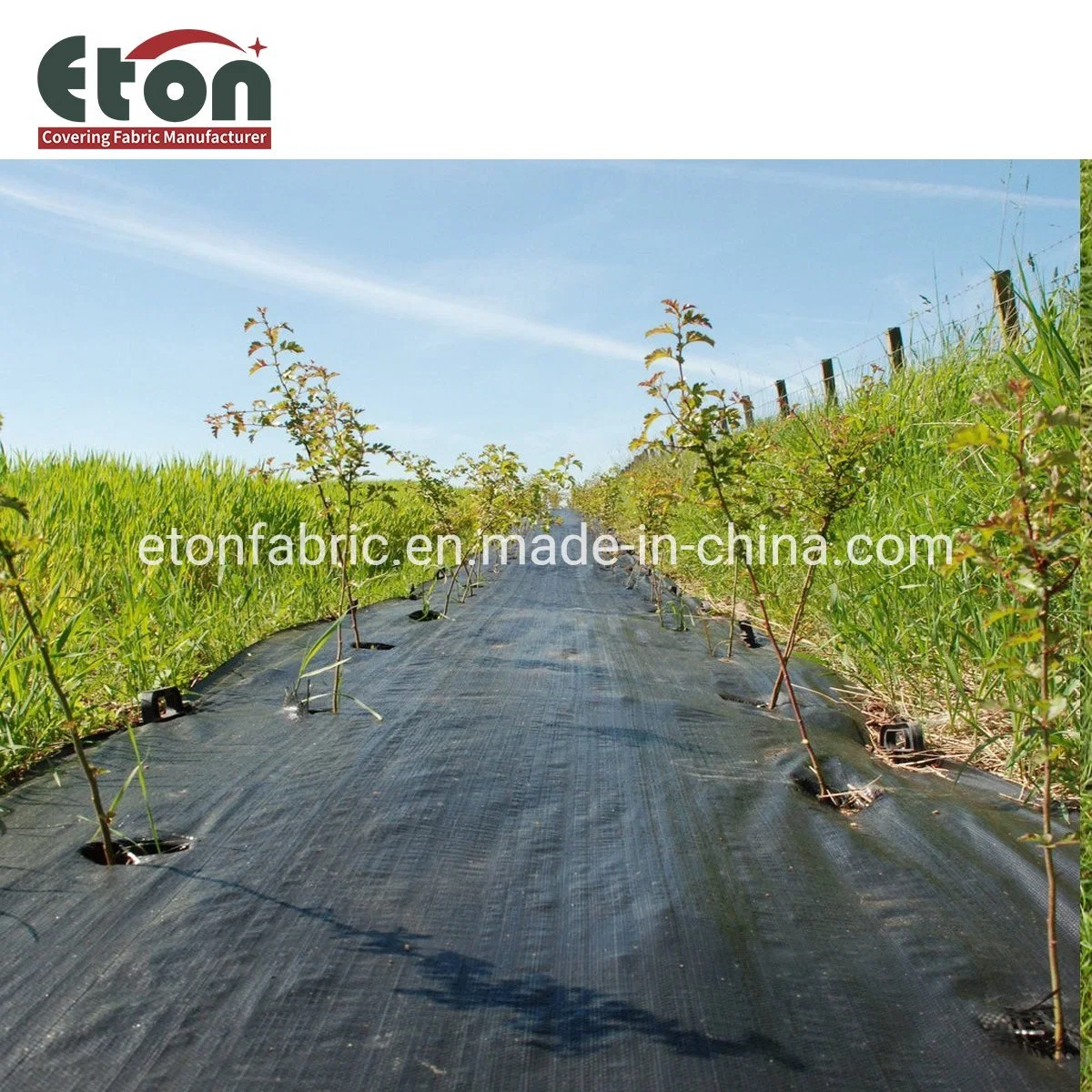 Polypropylene/PP Woven Black Color with Green Line Weed Control Mulch Mats for Agricultural Covering