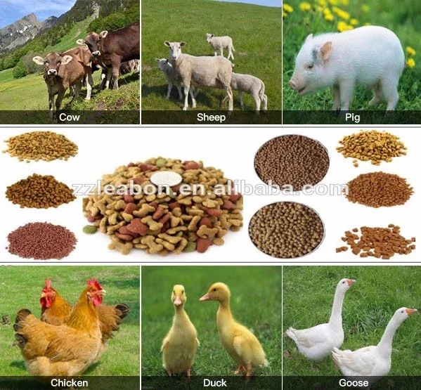 CE 2-3t/H Small Poultry Farm Chicken and Animal Feed Pellet Processing/Making Machineand Line Price