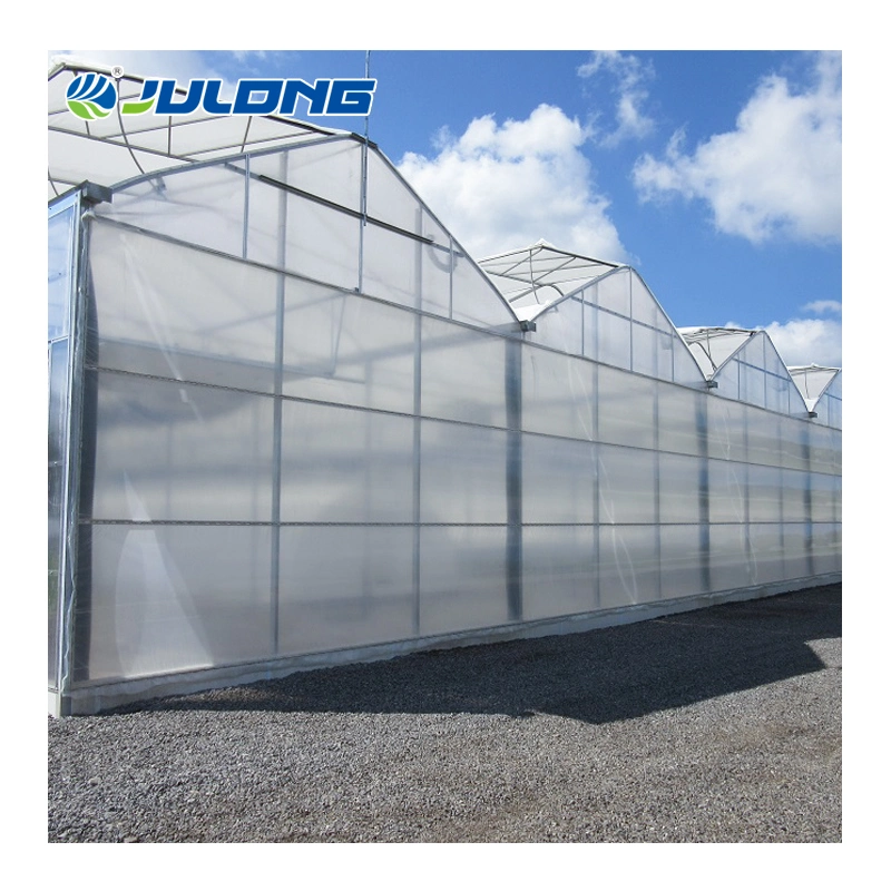 New Design Multi-Span Plastic Film Greenhouse Used for Agriculture Strawberry Growing Farming