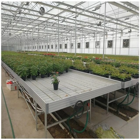 120*240 Cm Production Greenhouse Horticulture Gardening Products Tidal Seedbed Tables Rolling Bench