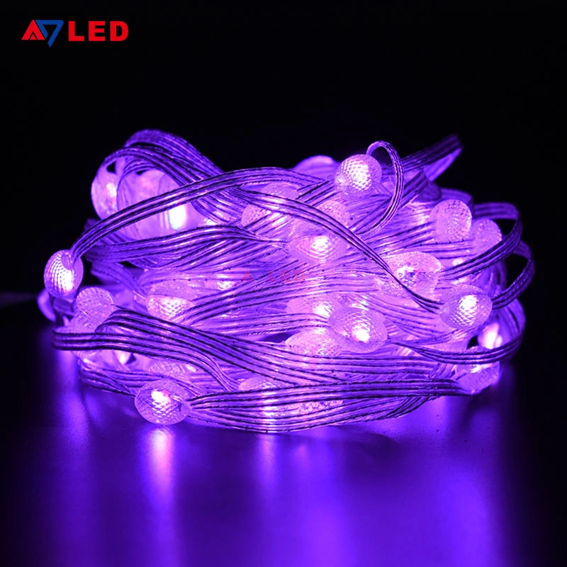 Telecomando Multicolor 33LEDs/66LEDs/99LEDs 4040 IC RGB String Light LED