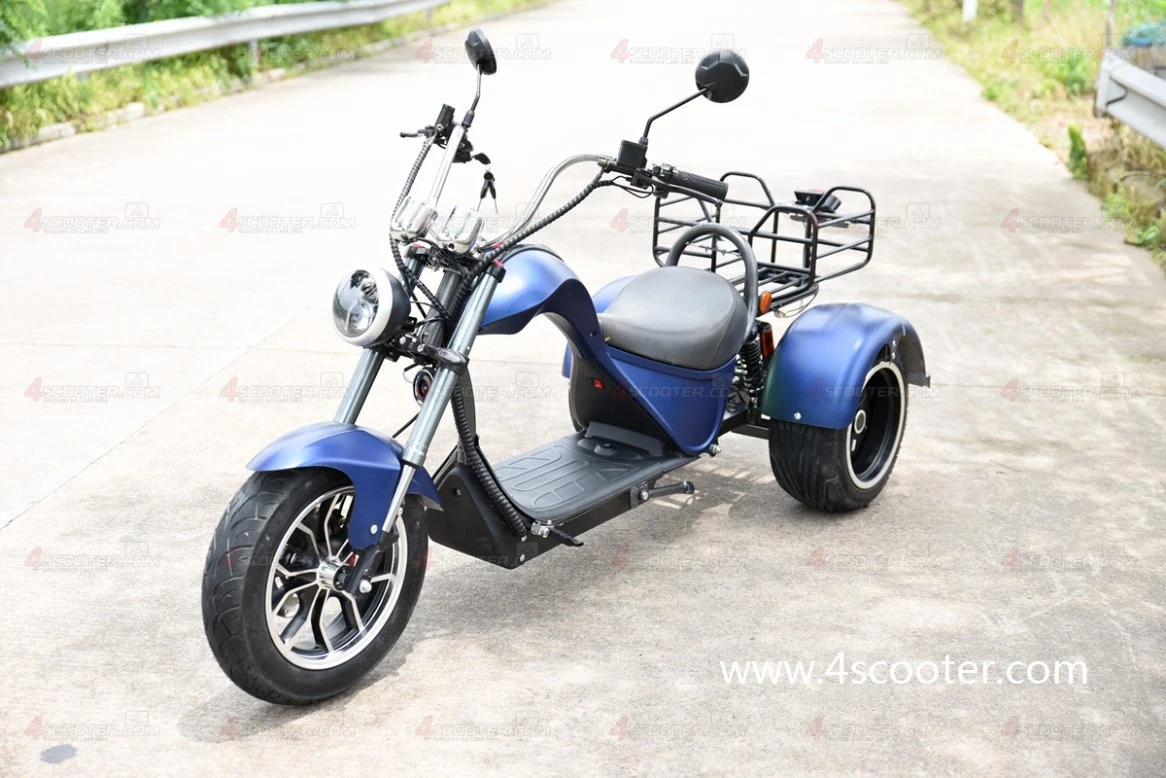 EU Warehouse Wuxing Factory Road Legal EEC Coc Electric Scooter Three Wheel Motorcycle 3200W 80km/H on OEM