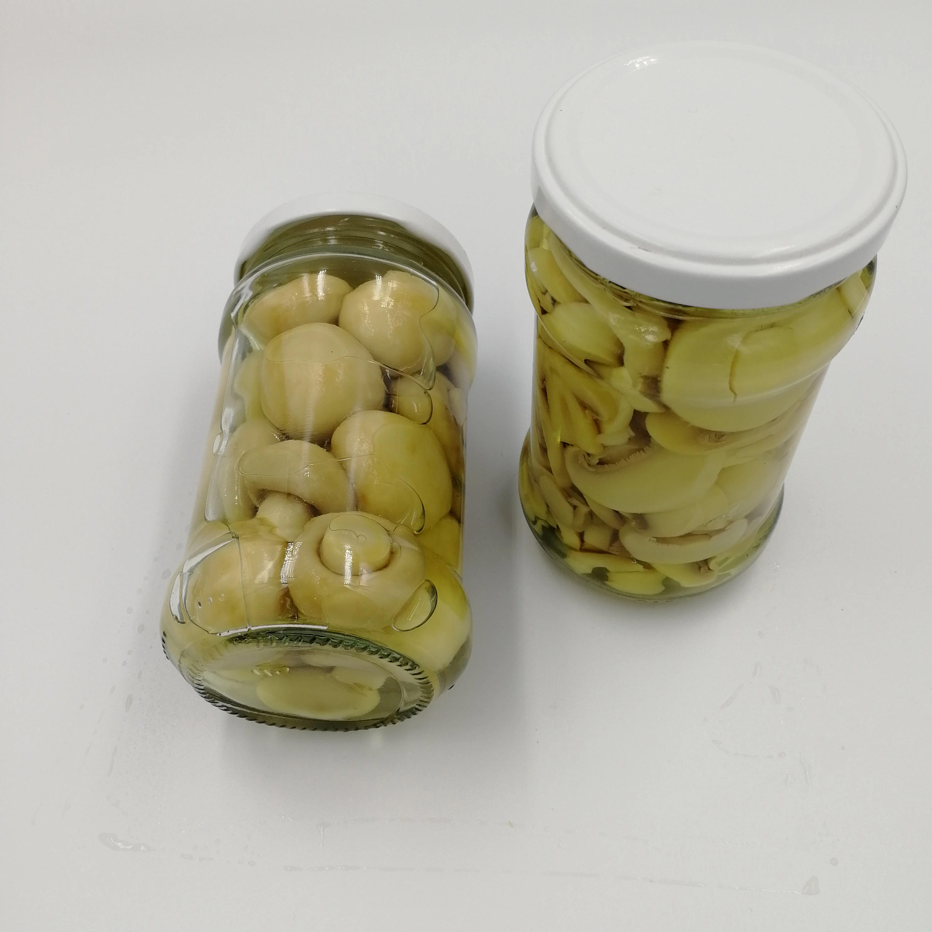 Canned Mushroom Best Quality Cheapest Price