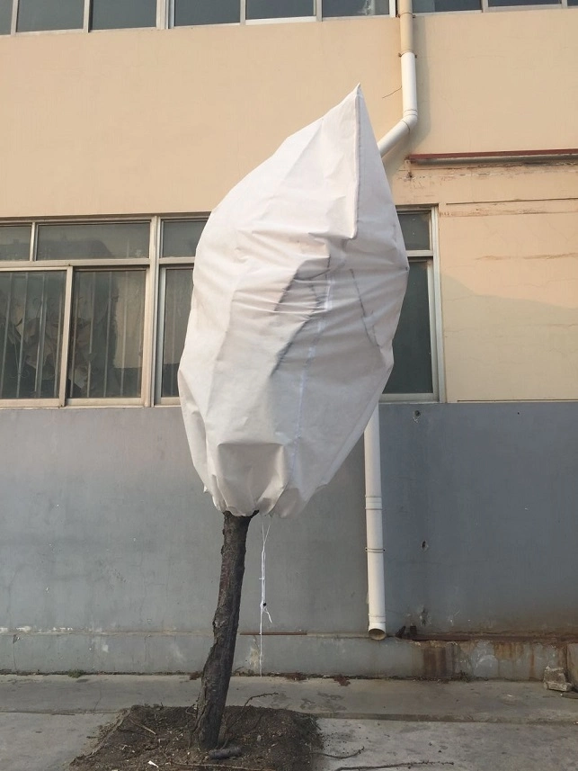 PP Nonwoven Plant Cover UV Resisatance 3% Flower Wraping Material Cheap