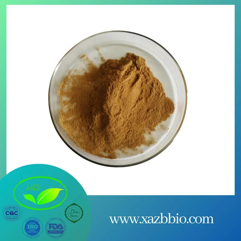 High Quality Health Care Purslane Herbs Extract Powder