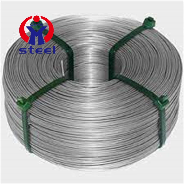 SS304 316 316L 321 Stainless Steel Welded Wire Mesh Heat Resistant Wire