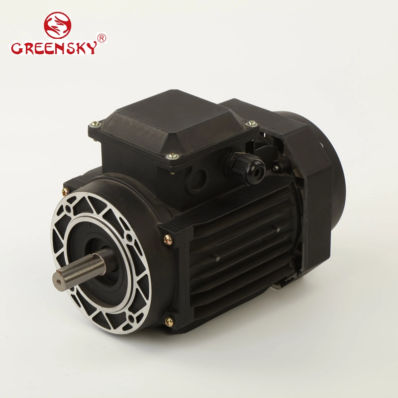 0.18~375kw IEC Variable Speed AC Induction Iron Casting Motor