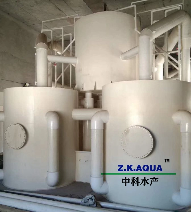 Moving Bed Filter High Efficiency 15~250m3/H Water Treatment Equipment with Ras