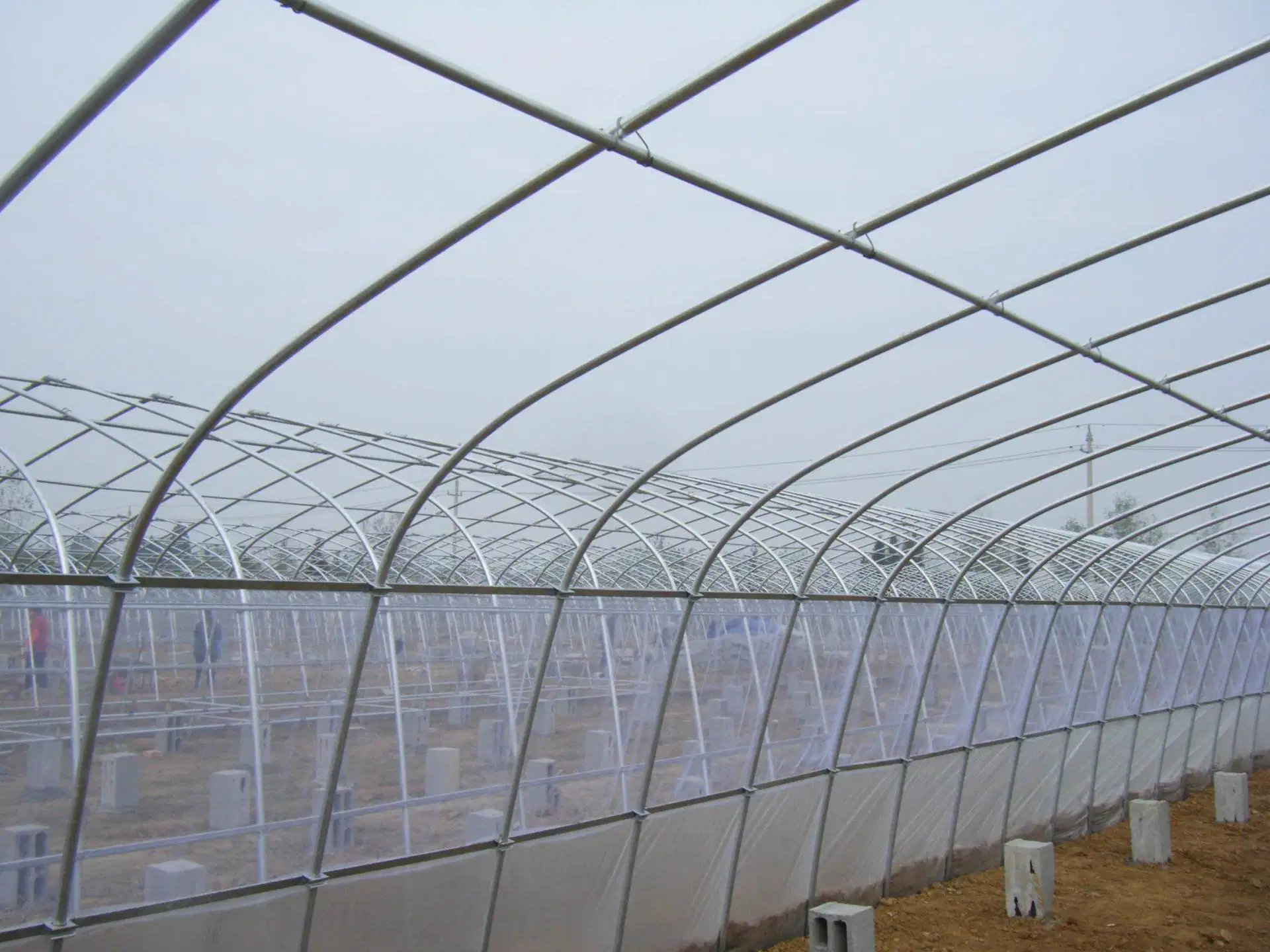 Landwirtschaftliche Pflanzen Pflanzen Multi-Span kommerzielle Polycarbonat Gewächshaus mit Hydrokultur für Traube