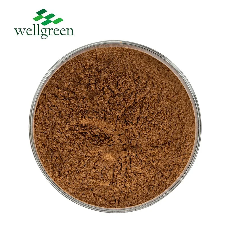 Phyllanthus Emblica Amarus Niruri Powder Manufacturers Mirabilis Plants Underleaf Pearl Extract