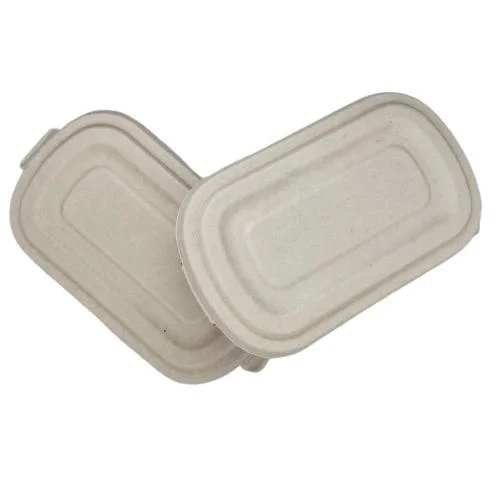 Rectangular Lunch Box desechables Medioambiente degradable Tableware