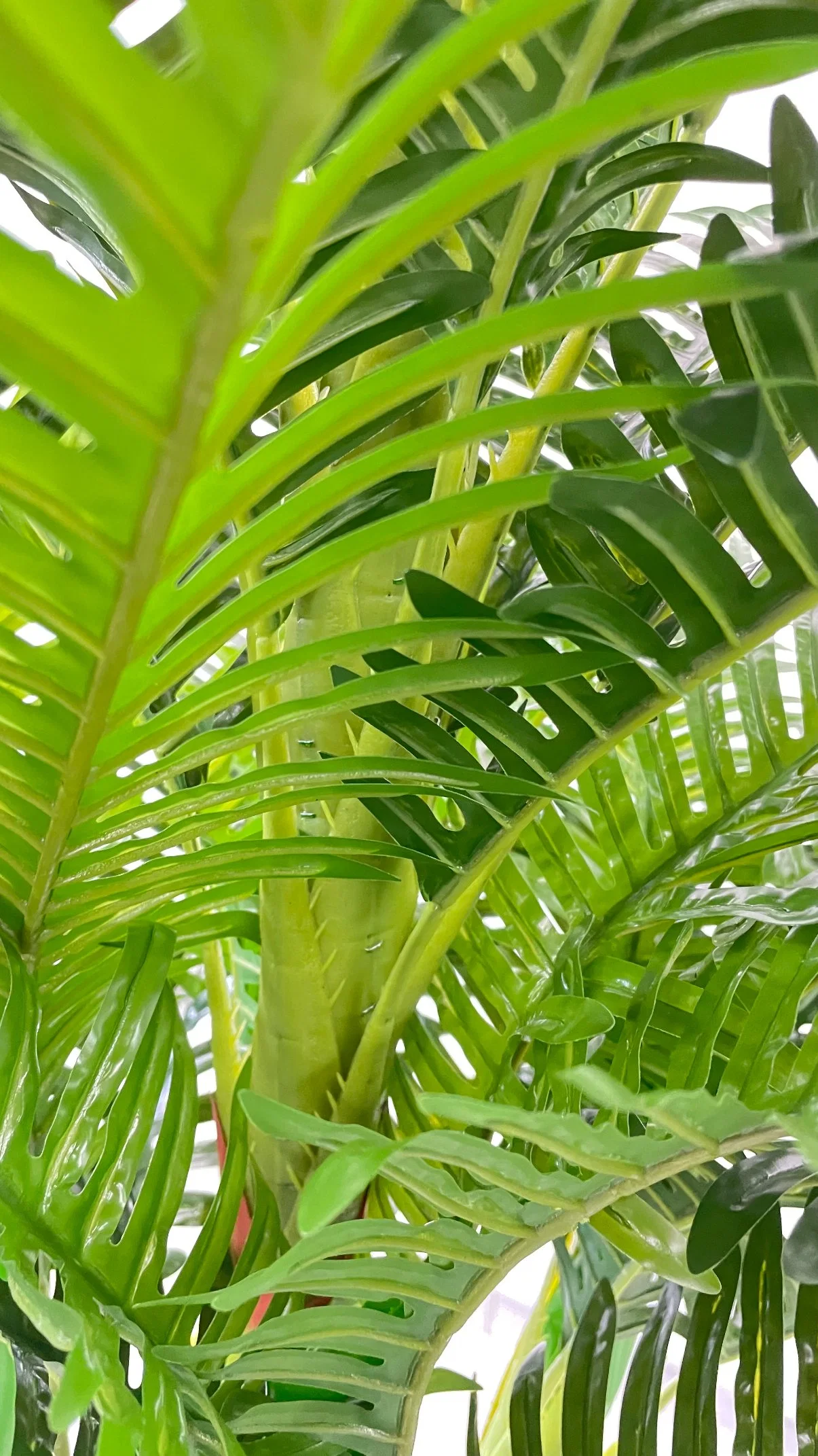 45 Personalización de la hoja de árbol de la planta decorativa imitación artificial Buda verde vientre bien girasol