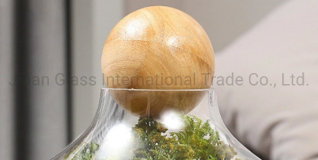 New Creative Modern Glass Vase Handicraft Immortal Flower Ornament with Wooden Ball Glass Storage Tank