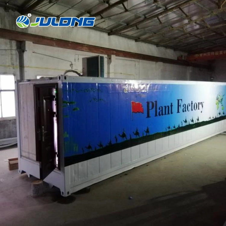 Smart 40FT Shipping Container Greenhouse with Hydroponic Systems for Lettuce