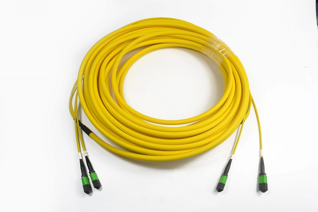 MPO/APC Fiber Optic Trunk Cable 24core 48core Sm Ofnp