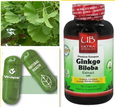 Gingko Biloba Extract Capsules Supplement