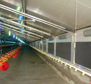 Poultry House with Full Set Chicken Farm Equipment