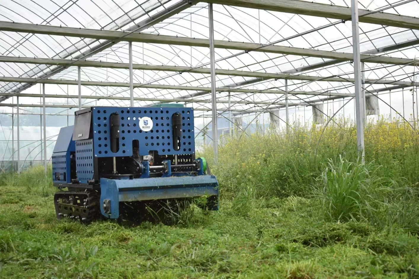 Effiziente Präzisionsfräser Für Landwirtschaft Mit Fernbedienung Grass Cutter