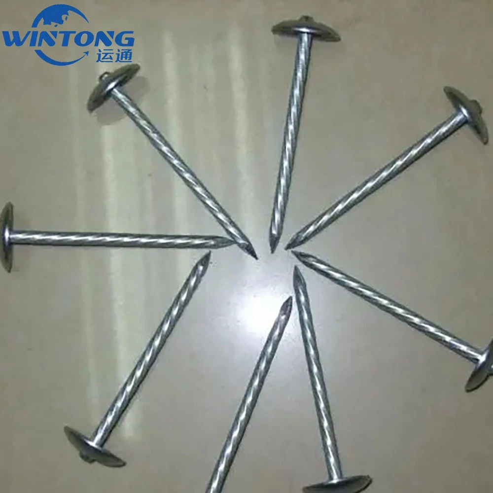 Wholesale Q235 Twisted Shank Galvanized Umbrella Head Roofing Nails