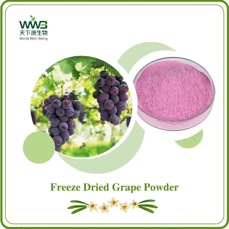 Reduce Melanin Deposition 99% Freeze-Dried Grape Powder Instant Powder Natural Fruit Freeze-Dried Powder Food Grade Spray Dried Grape Powder