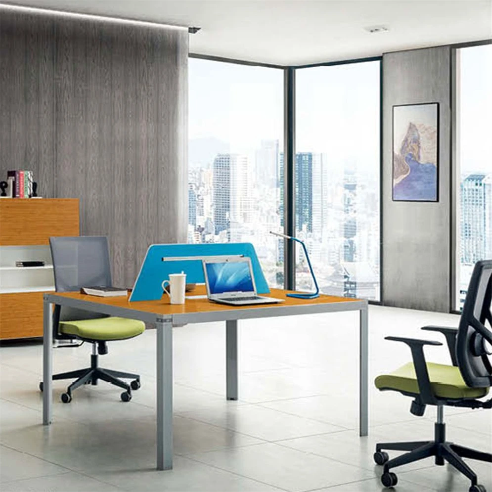 Professional Design Workstation OEM Modern Office Desk