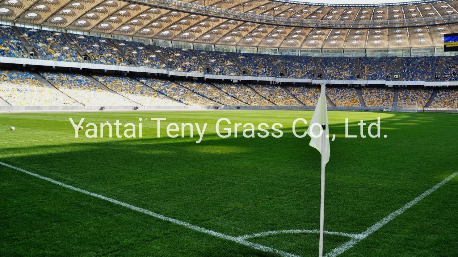 High Density Fußball-Feld Synthetische Kunstrasen