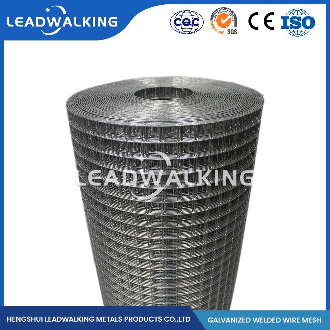 Leadwalking Welded Iron Wire Mesh Suppliers OEM Customized 48 Inch Welded Wire Fence China 1/2"X1/2" Inch Zinc Coated Galvanized Welded Wire Mesh