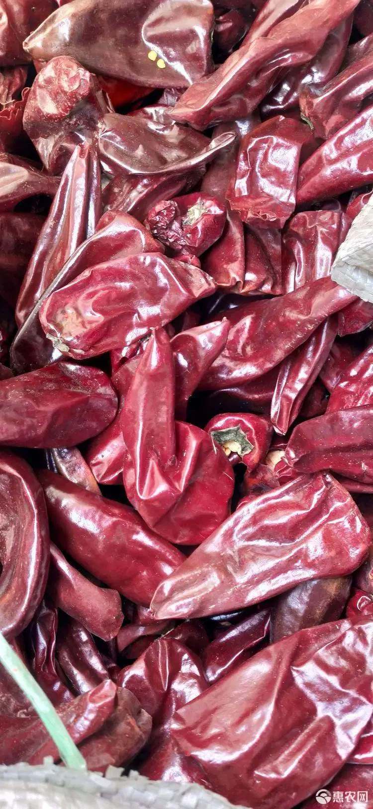 Top Product 100% Pure Dried Chili