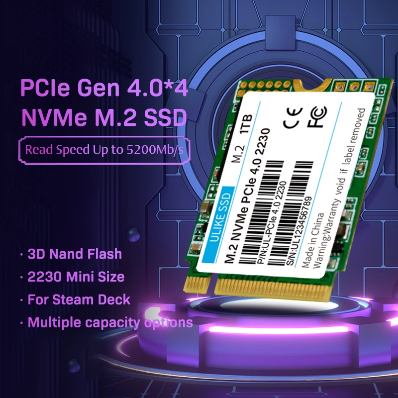 Smallest M. 2 Nvme Pcie Gen3.0 2230 SSD Solid State Drive Mini Internal SSD