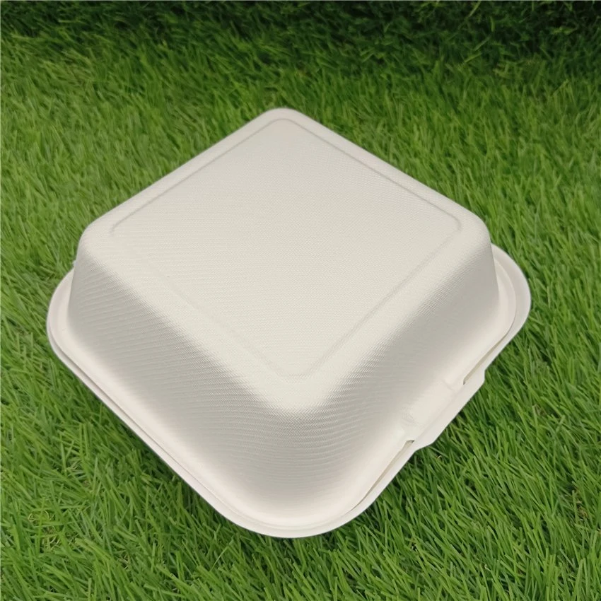 Single Compartment Clamshell Takeout Box Made From Eco-Friendly Plant Fibers