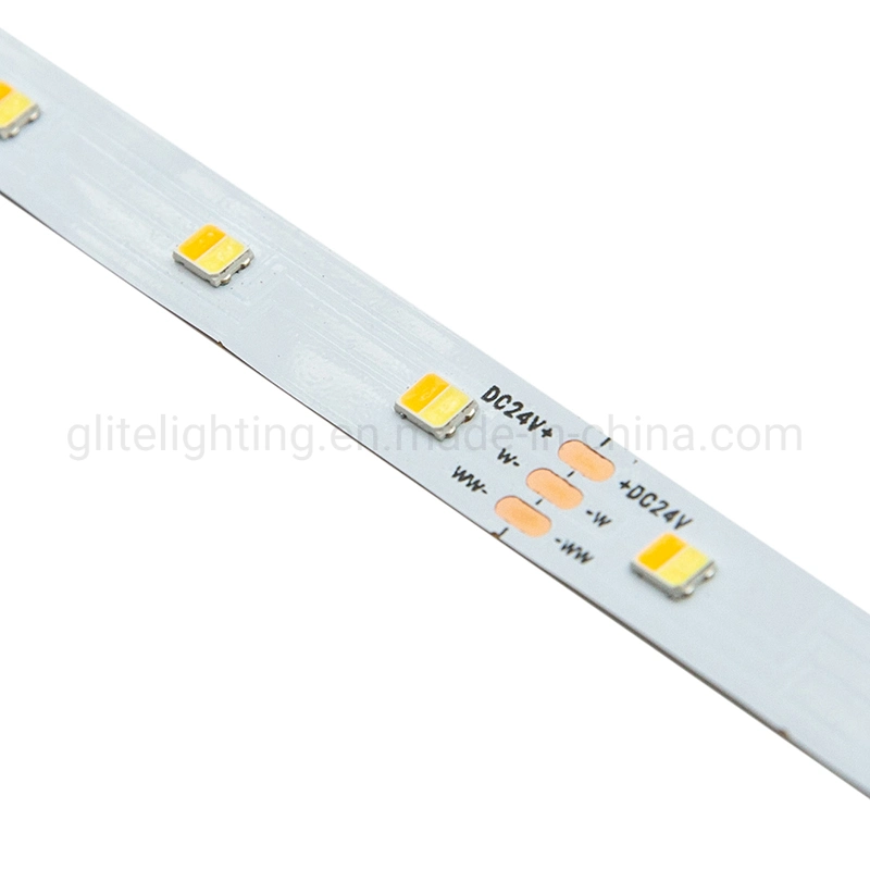 LED Lamp 2835 CCT Dimmable 60LED Ra80 DC24 Non-Waterproof for Lighting