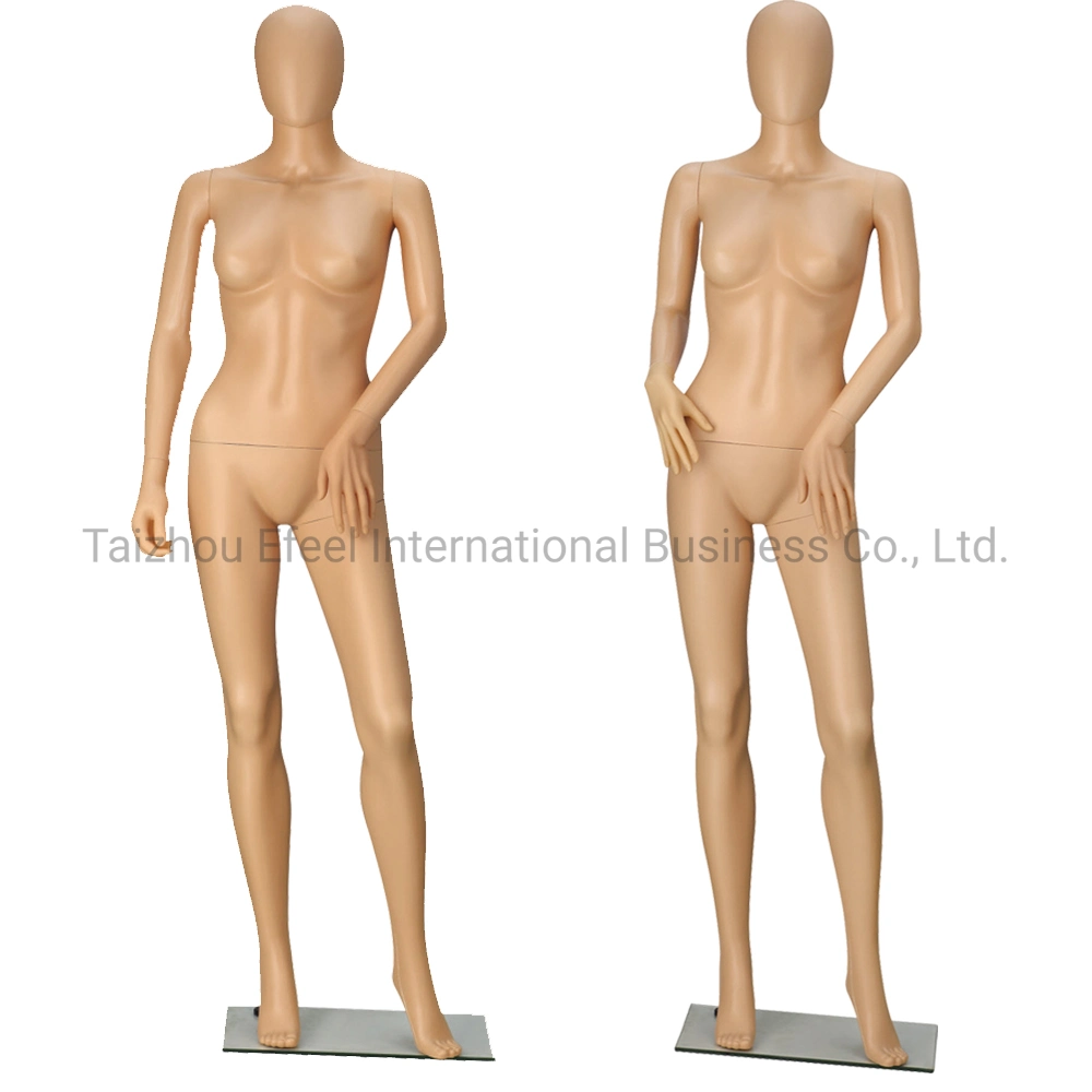 Plastic Mannequin Brazilian Mannequin Female Mannequin with Head