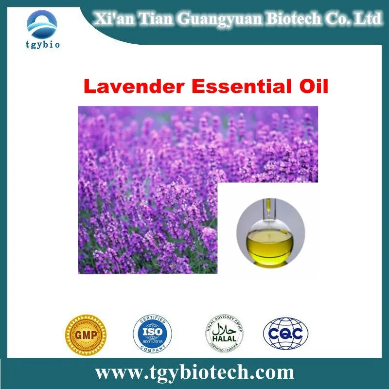 Factory Supply Bulk Pure Lavender Essential Oil/ Lavender Oil