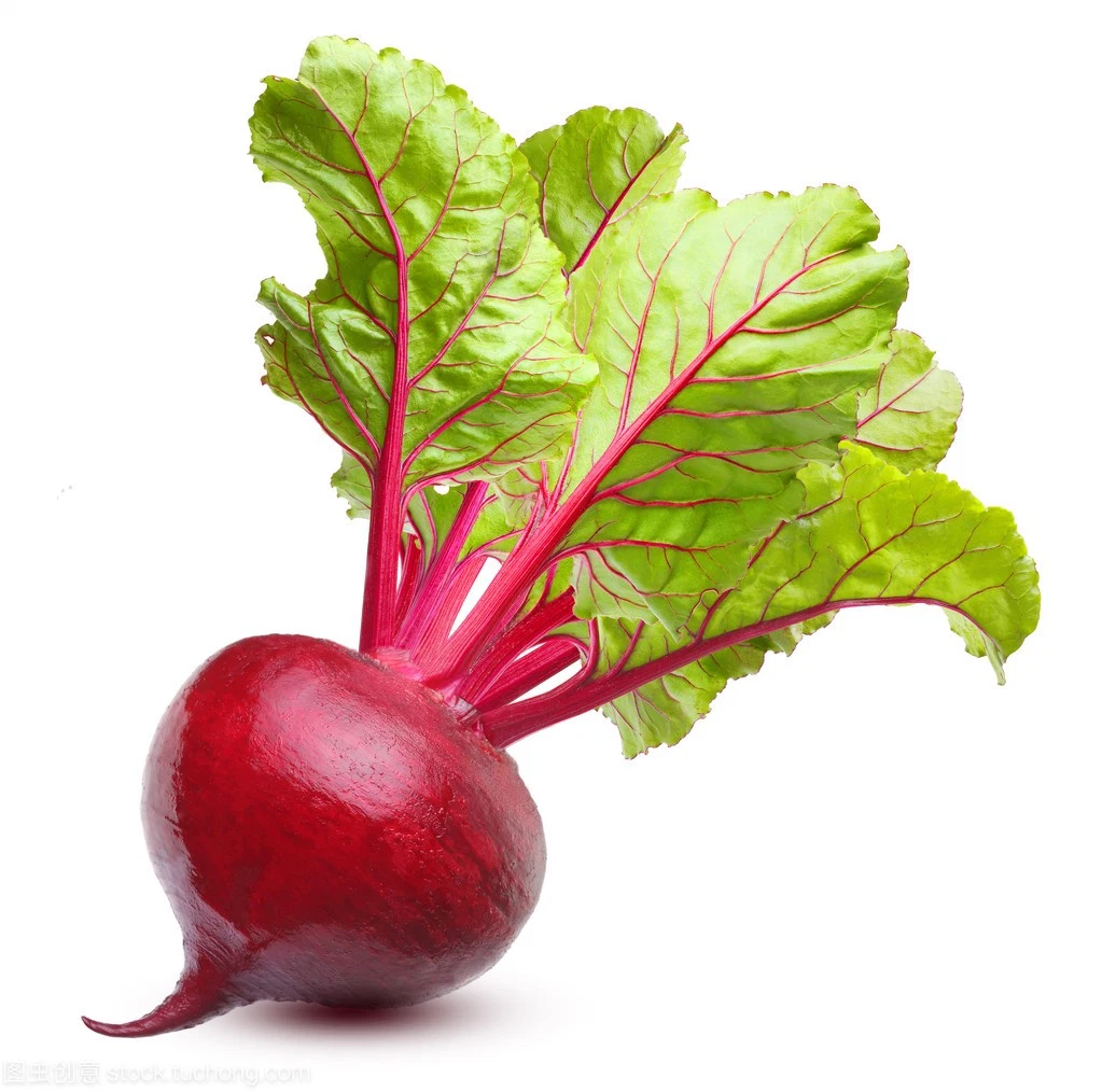 Beet Root Extract 1%-25% Betanin