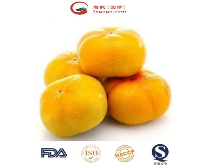 High quality/High cost performance Fresh Crispy Persimmon Professional Supplier From China