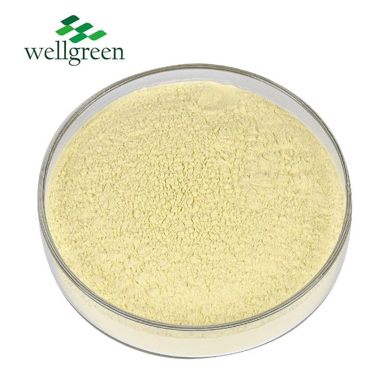 Kaempferia Galanga Parviflora Nanoparticle Pure Extract 98 CAS 520-18-3 Kaempferol Powder