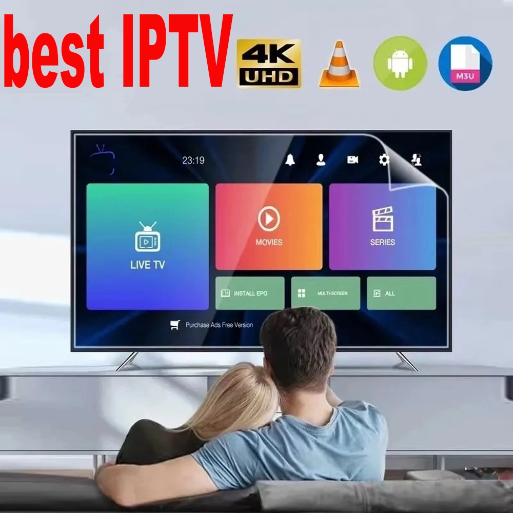 IPTV of 1 Year Subscription Livego Scandinavian Ex-Yu France Spain Spanish Poland UK Dutch IPTV for Android Box African Greek IPTV with Smart Player