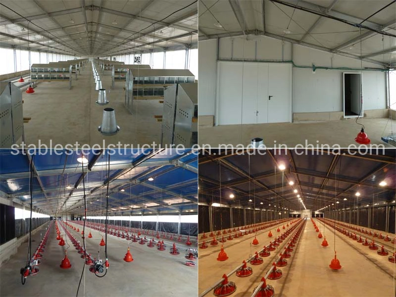 Prefabricated Frame Farm Chicken Shed Steel Structure Building Metal Prefab Poultry House