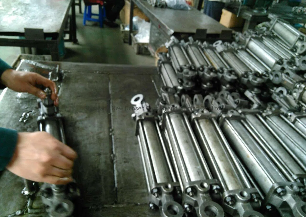 Customized Double Acting Hydraulic Cylinder, Excavator Hydraulic Cylinder