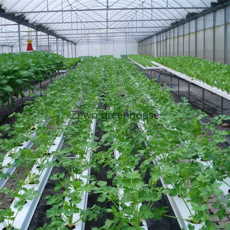 El cultivo hidropónico Nft Vertical Sistema de crecimiento de la agricultura de verduras de hoja verde// Lettuceand Apio Flores