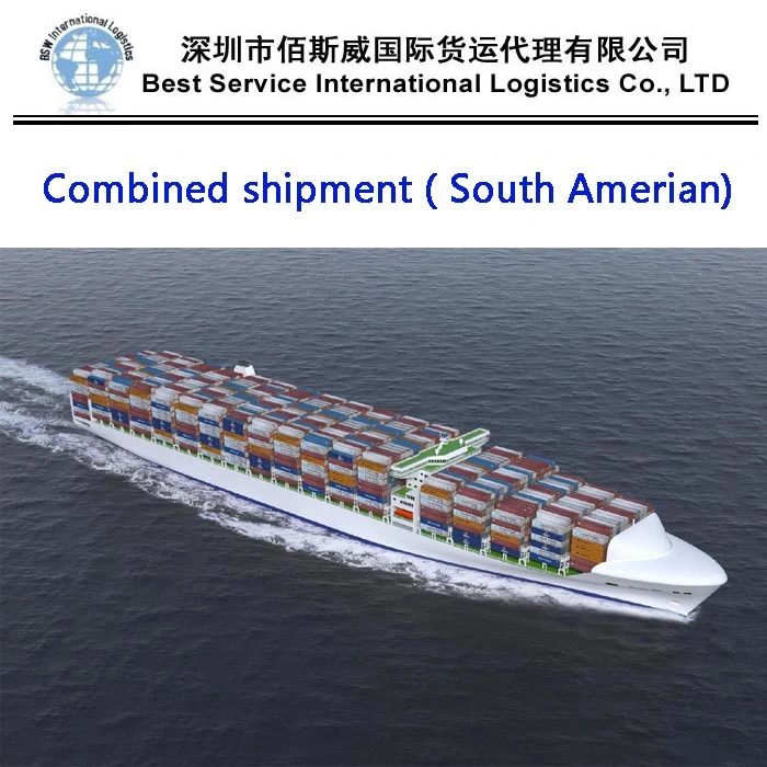 Safe and Cheapest Ocean Shipping International Forwarder Freight to Sea Fright From China to Argentina