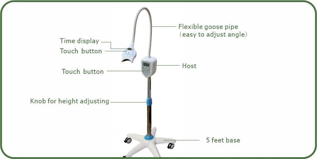 CE Certified Professional Touch Button Teeth Whitening Machine (MD669) Dental Beauty Equipment for SPA LED Whitening Accelerator