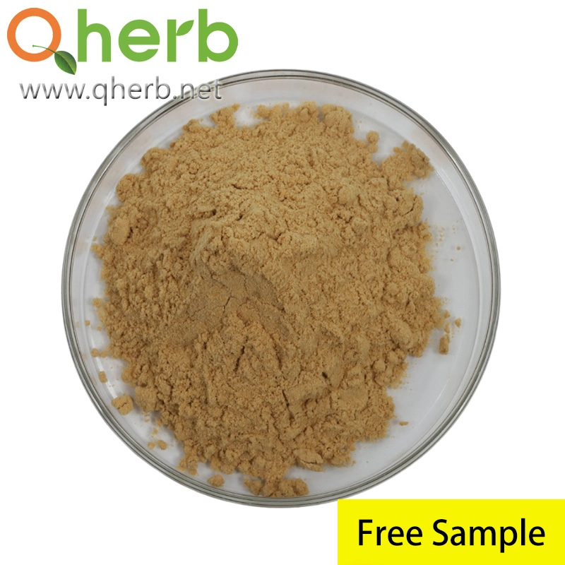 Linum Usitatissimum Flaxseed Extract Powder 40% Lignans/Sdg HPLC Seco-Isolariciresinol Diglucoside CAS: 148244-82-0