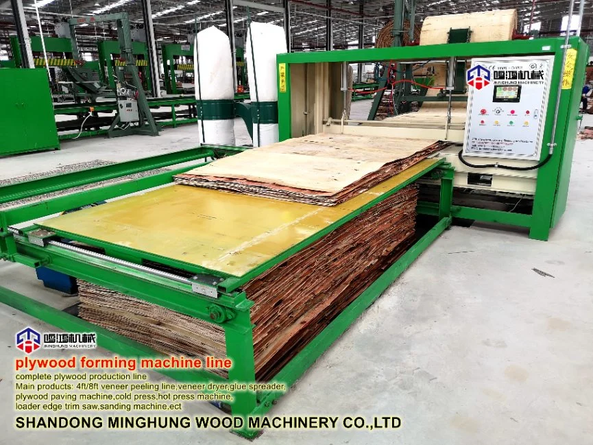 Plywood Assembly Line Veneer Paving Line